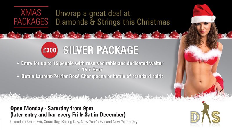 diamonds and strings christmas package silver